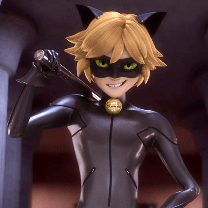 cat noir costume