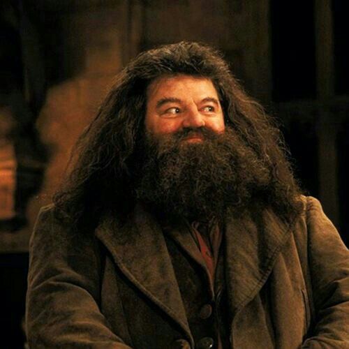 Hagrid: A Giant Wizard With Good Heart