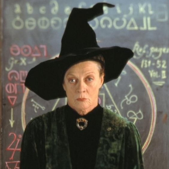 Professor McGonagall costume