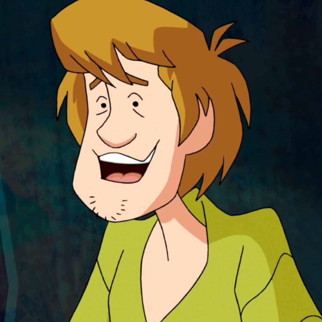 shaggy costume