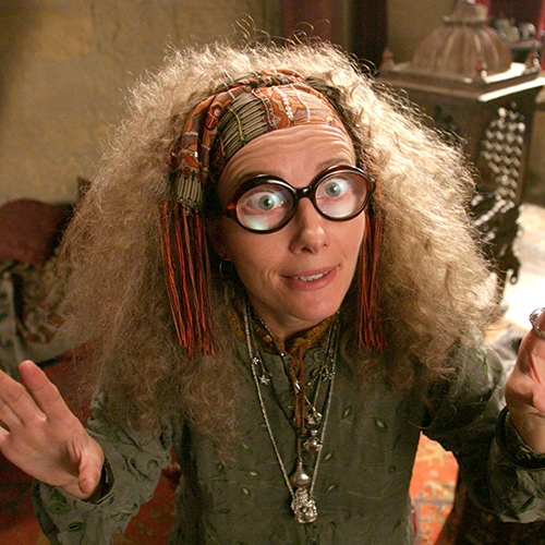 Professor Trelawney Costume